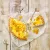 Форма для флана 30 см, серия Easy Baking, Birkmann, изображение 5
