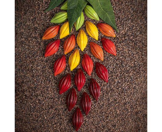 Форма для шоколада «Теоброма», 21 ячейка, поликарбонат, H=26 мм, L=275 мм, B=175 мм, Martellato, изображение 4