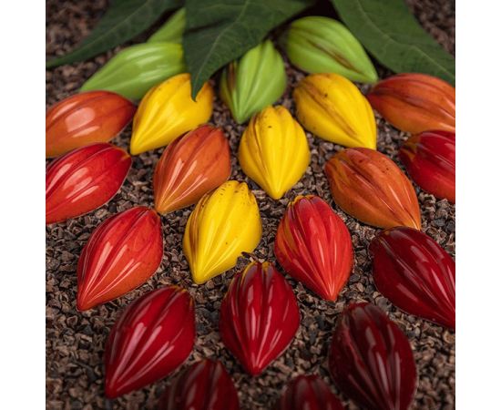 Форма для шоколада «Теоброма», 21 ячейка, поликарбонат, H=26 мм, L=275 мм, B=175 мм, Martellato, изображение 3